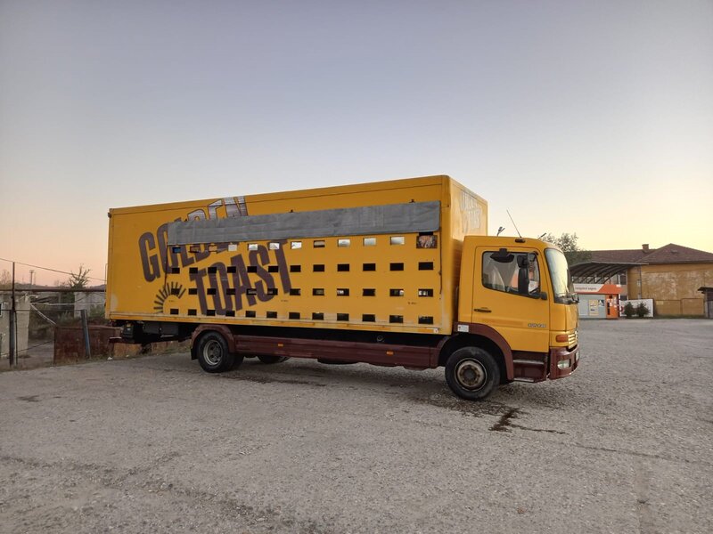 Camion apicol de vanzare