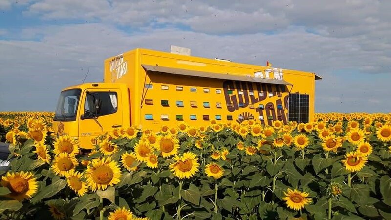 Camion apicol de vanzare